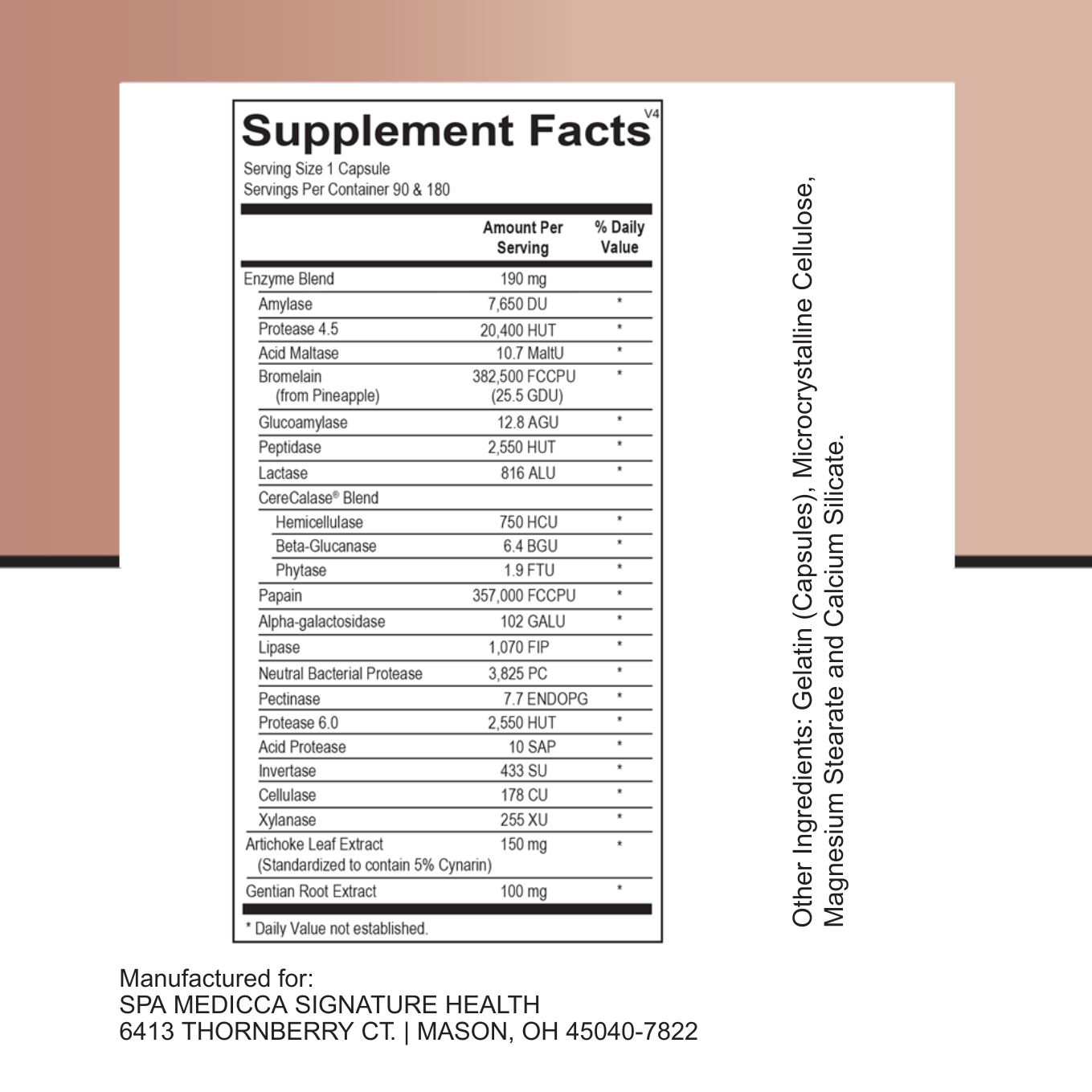 Digestive Enzymes
